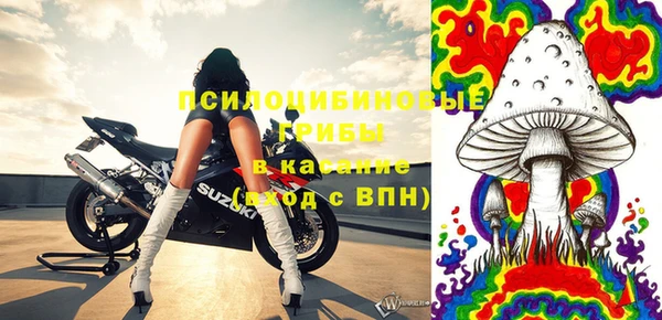 мдпв Сатка